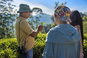 Strathdon by Zinc Journeys