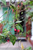 Millsborough Guest Apartments