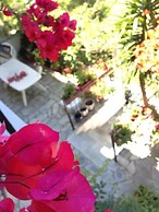 Mimoza Studios