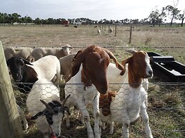 The Oxley Estate