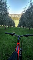 Il Querceto - B&B e Appartamenti Vacanze