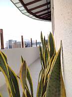 The Residence
