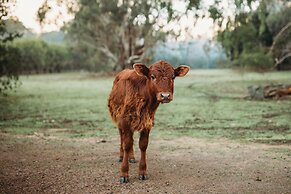 Margaret River Holiday Cottages