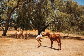 Margaret River Holiday Cottages