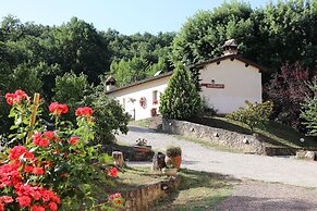 Badia Il Vingone