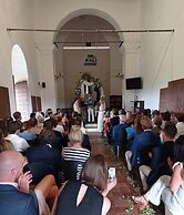 Badia Il Vingone