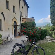 Badia Il Vingone