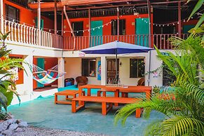 Blue Iguana