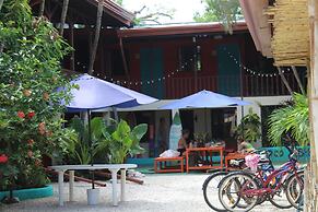 Blue Iguana
