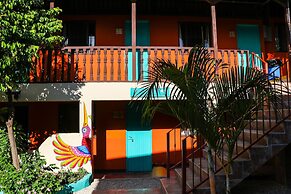 Blue Iguana