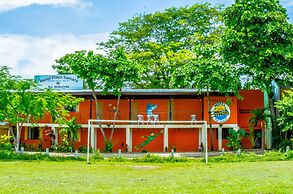 Blue Iguana