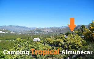 Camping Tropical