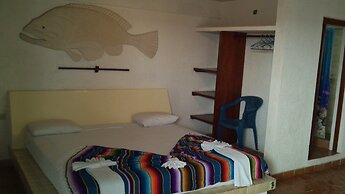 Safari Inn