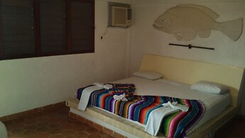 Safari Inn