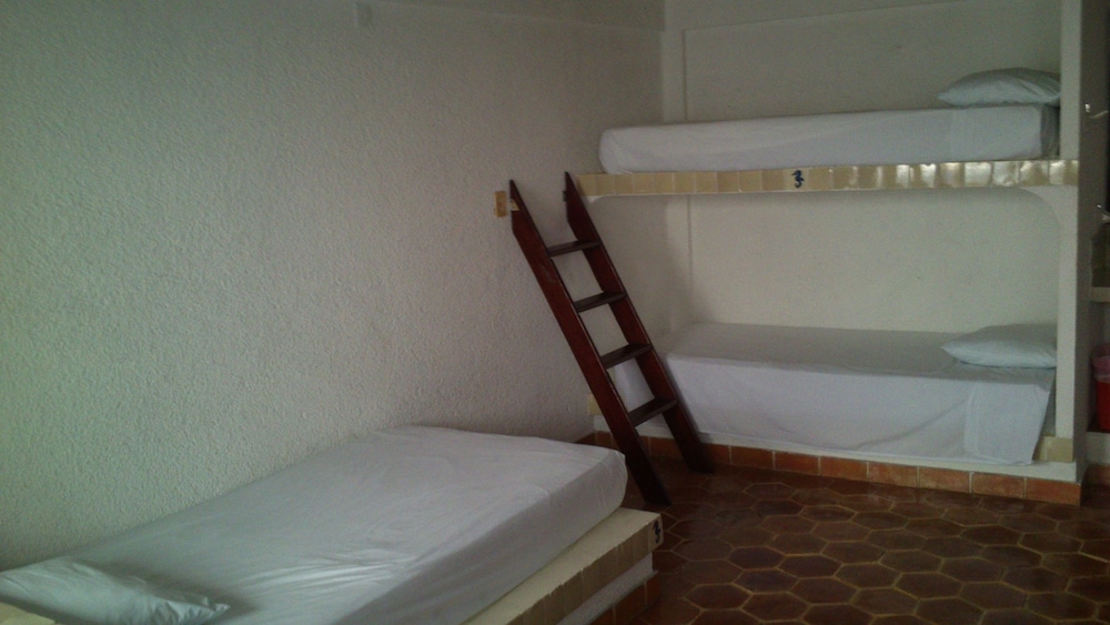 Safari Inn