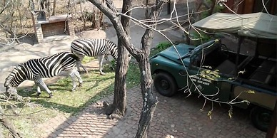 Jabula Lodge
