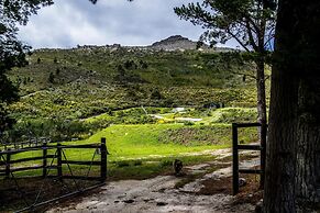 High Season Farm