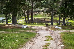 High Season Farm
