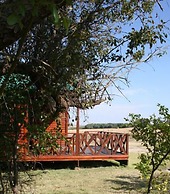Intaba Thulile
