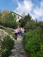 Amanita Guesthouse