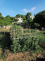 Amanita Guesthouse