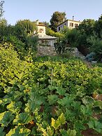 Amanita Guesthouse