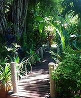 Jungle Bay Resort