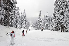 Ilgaz Mountain Resort Hotel