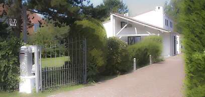 B&B Yaca