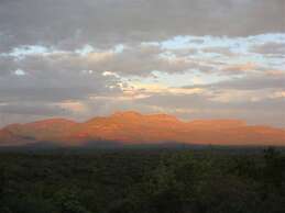 Marula Cottage