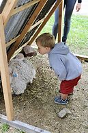 Telemark Camping & Inn-Campground Cabins