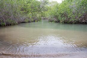 El Paraiso de Isabela