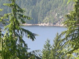 Davis Brook Retreat