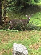 Davis Brook Retreat