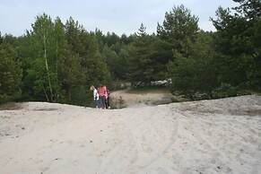 Ferienparadies Waldidylle