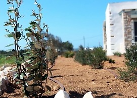 Nakos Homes
