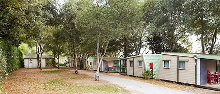 Camping As Cancelas