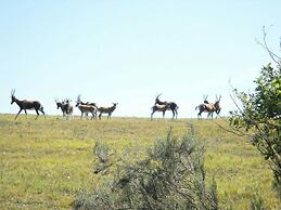 Pabala Game Farm