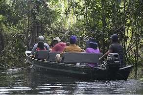 Curassow Amazon Lodge