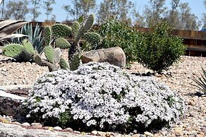 Hacienda Los Picachos