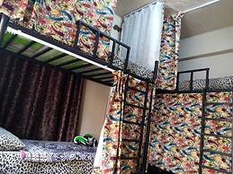 Cliff - Hostel