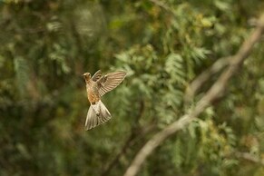 CASA COLIBRI ECOLODGE