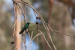CASA COLIBRI ECOLODGE