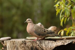 CASA COLIBRI ECOLODGE