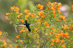CASA COLIBRI ECOLODGE