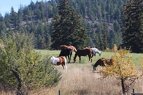 YD Guest Ranch