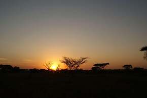 Ikoma tented Camp