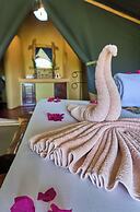 Ikoma tented Camp