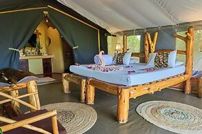 Ikoma tented Camp