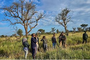 Ikoma tented Camp